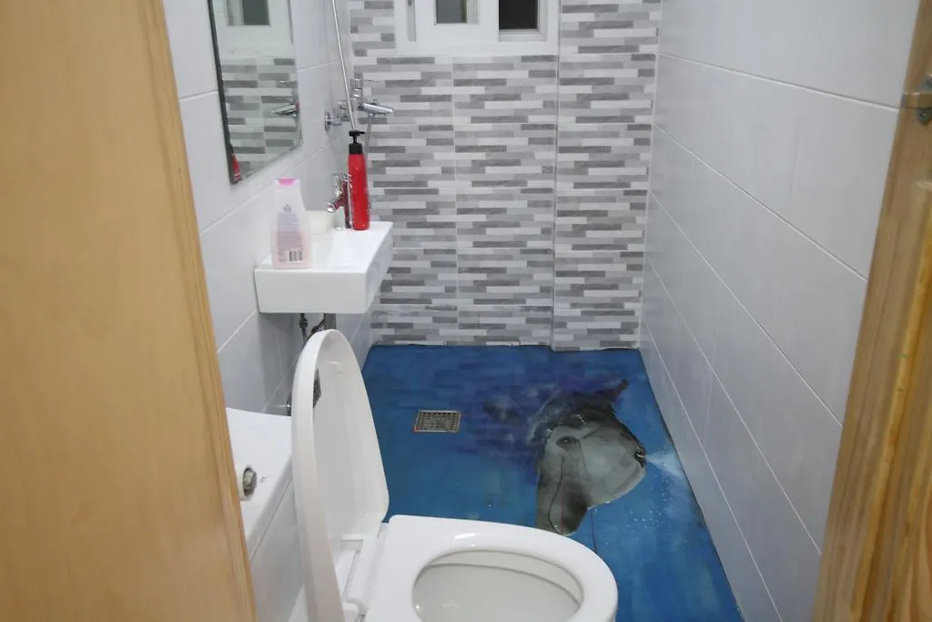 Time Travelers Party Hostel In Hongdae Seoul South Korea